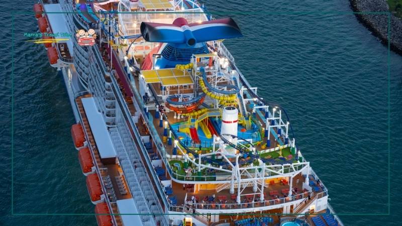 Carnival Cruise Line. do babies need passport to go on cruise