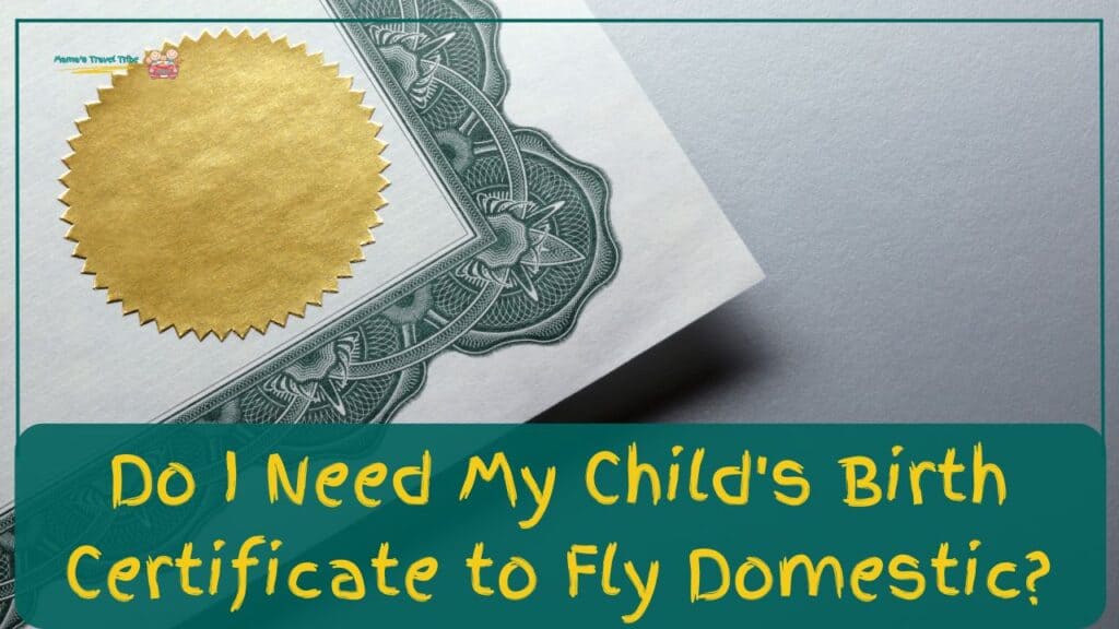 Do I Need My Child's Birth Certificate to Fly Domestic