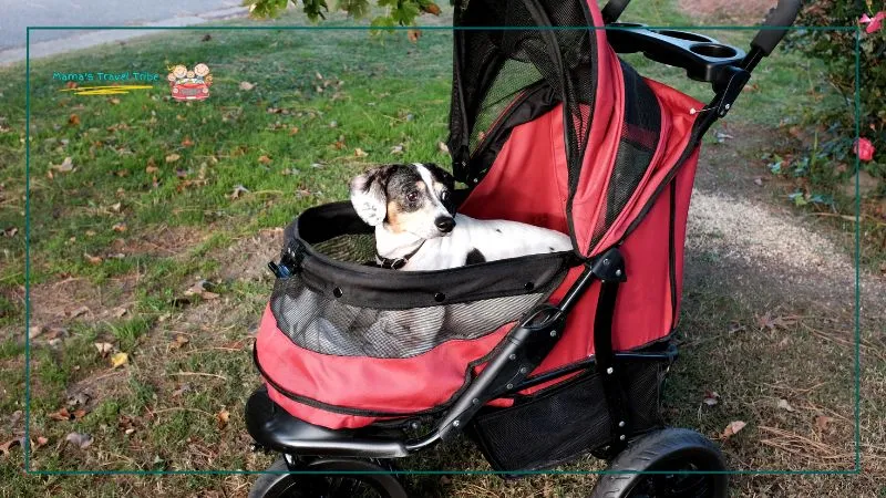 Can You Take a Dog Stroller on a Plane?