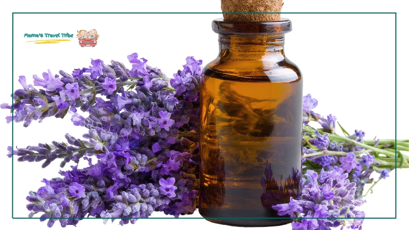 lavender oil with fresh lavender in the background. sleep aid. how to make a bed on a plane