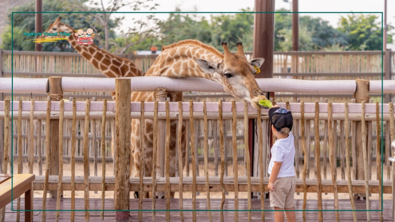 Zoos, child in a zoo