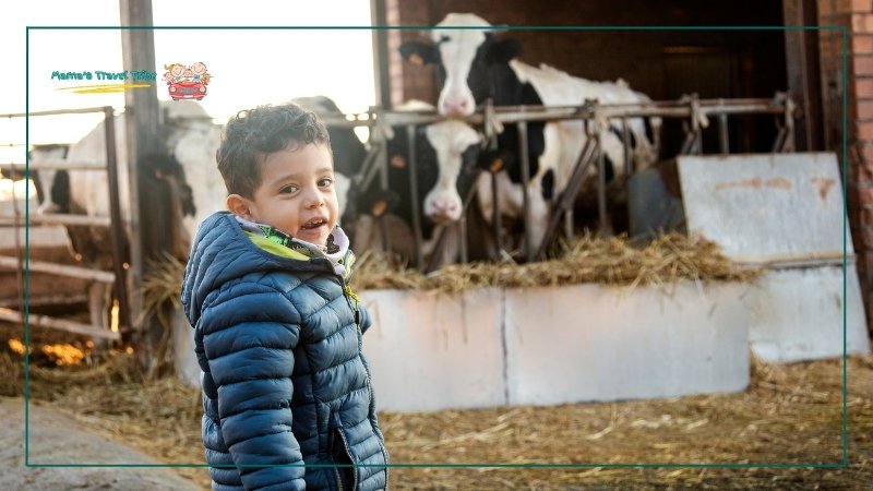 Farm Visits, child in a farm. places to go with 2 year olds