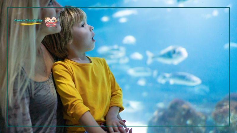 Aquariums, child in an aquarium with mom. places to go with 2 year olds