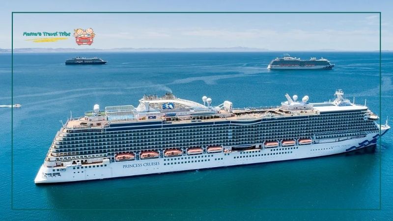 do babies need passport to go on cruise. Princess cruise. 