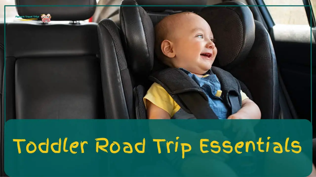 Toddler Road trip Essentials