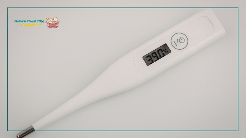 thermometer. how to keep breast milk frozen while traveling