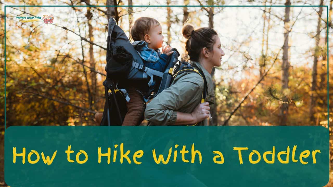 How to Hike with a Toddler, mother hiking with toddler, mama's travel tribe blog post featured image